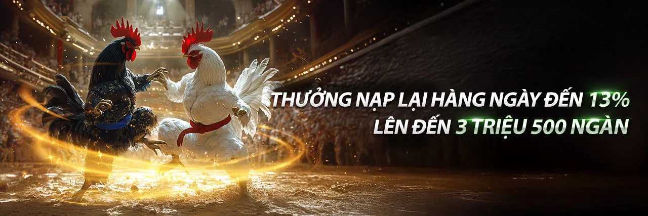 Sân vận động bóng đá với khán giả hò reo, nhấn mạnh trải nghiệm cá cược thể thao đỉnh cao tại 5mb
