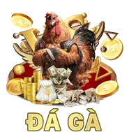 Quà tặng sinh nhật và lễ tết
